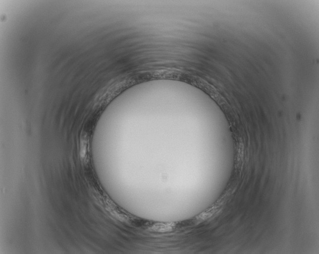 X0000085070138200703051108