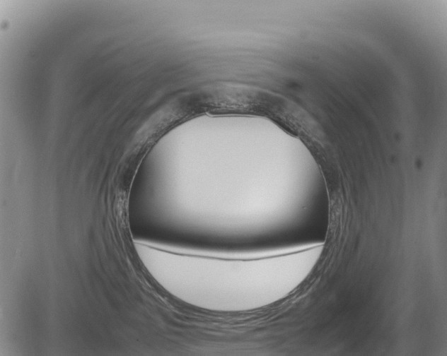 X0000085070141200703051108