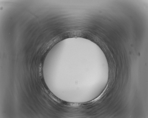 X0000085070144200703051108