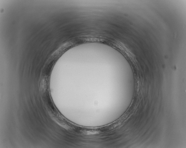 X0000085070165200703051107