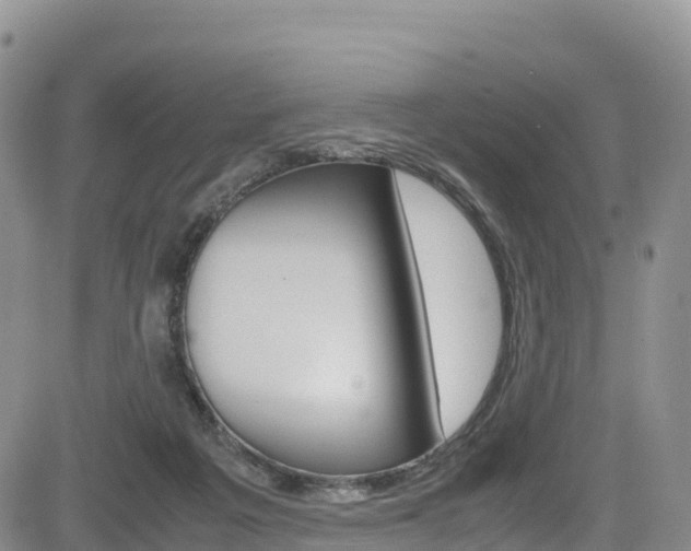 X0000085070217200703051107