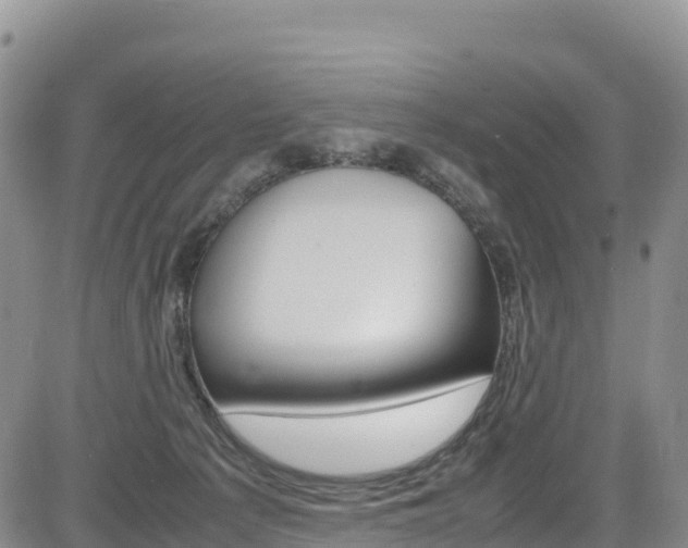 X0000085070225200703051106