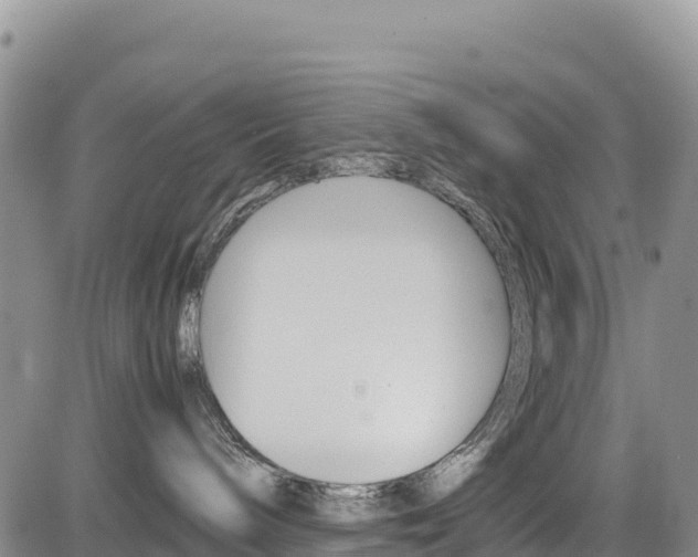 X0000085070240200703051106