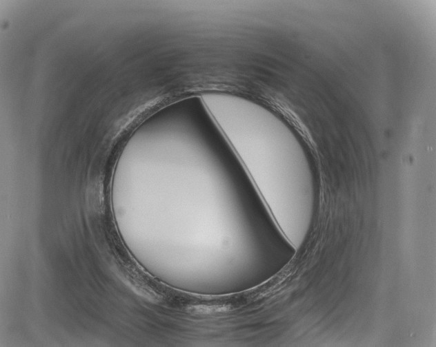X0000085070251200703051106