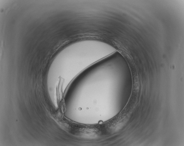 X0000085070255200703051106