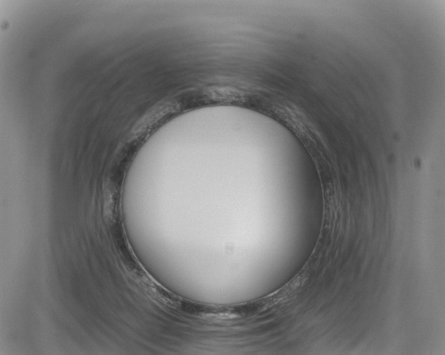 X0000085070266200703051106