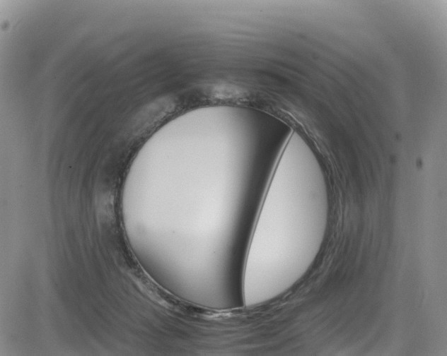 X0000085070269200703051106