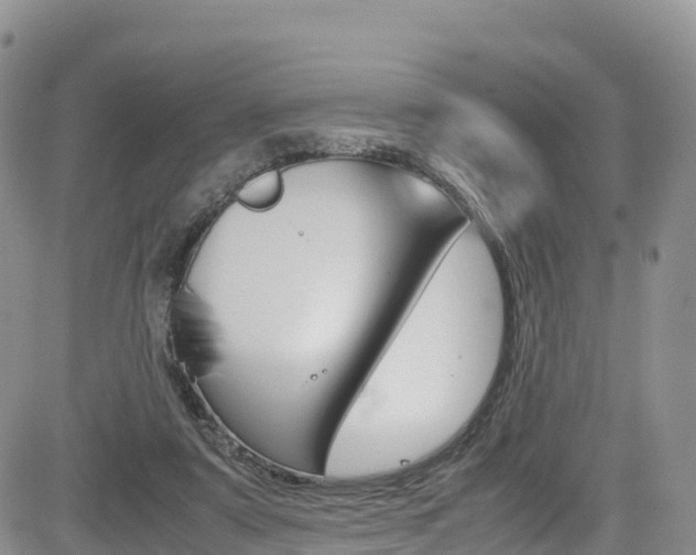 X0000085070307200703051105