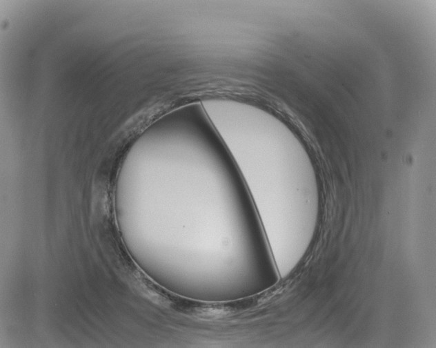 X0000085070313200703051105