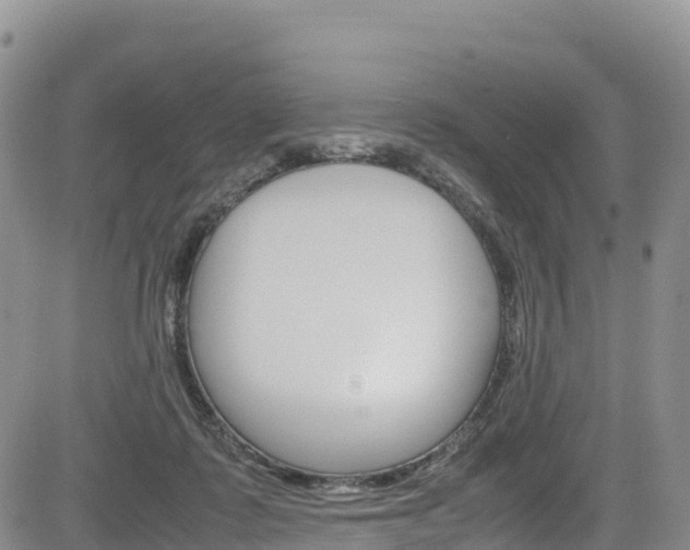 X0000085070315200703051105