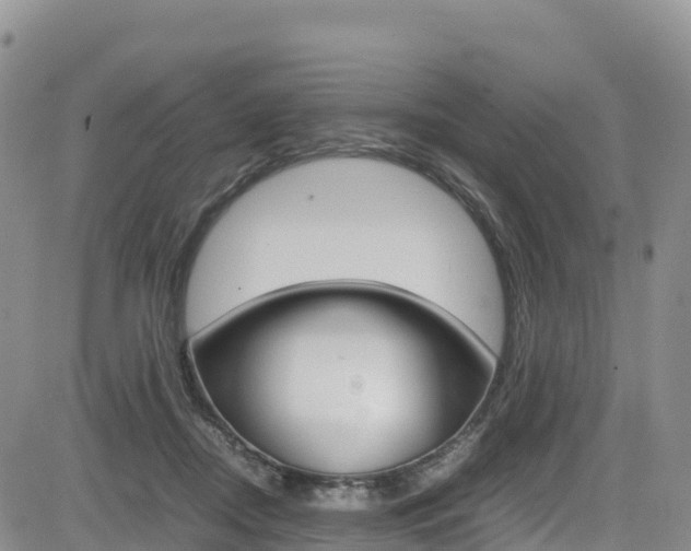 X0000085070362200703051104