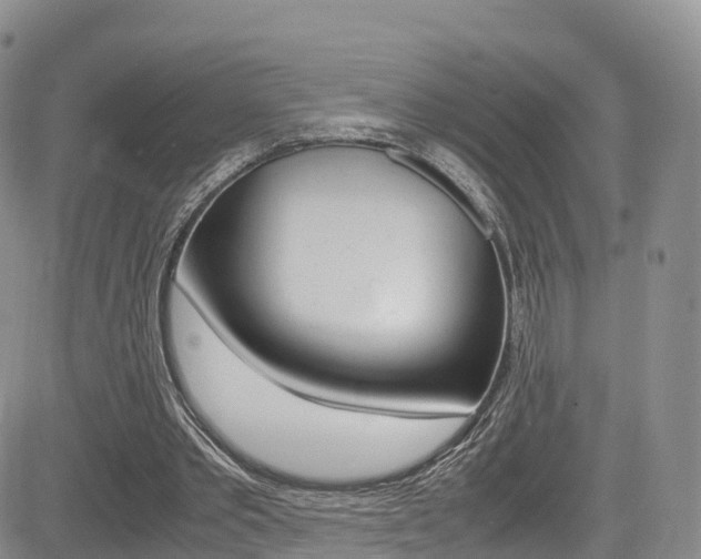 X0000085070389200703051104