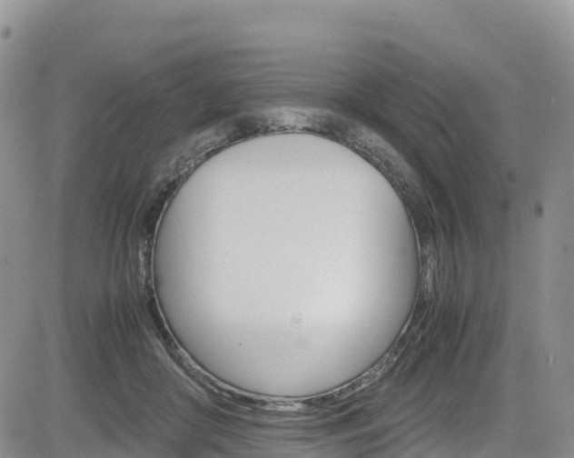 X0000085070410200703051103