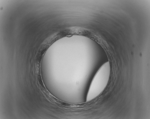 X0000085070413200703051103