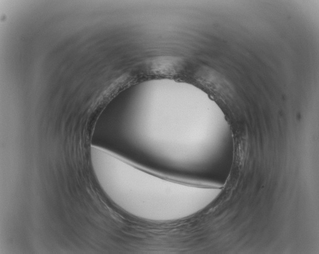 X0000085070424200703051103