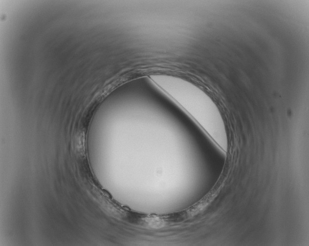 X0000085070425200703051103