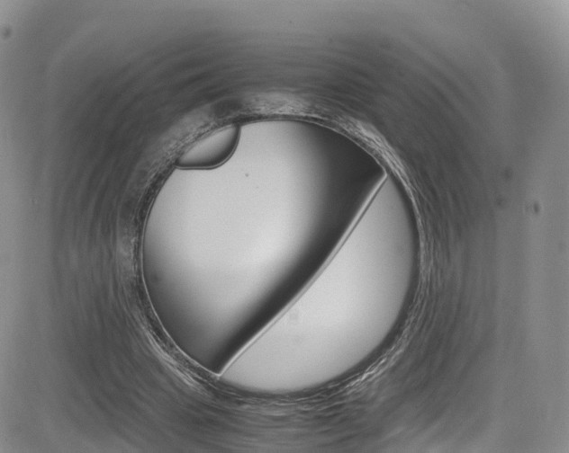 X0000085070441200703051102
