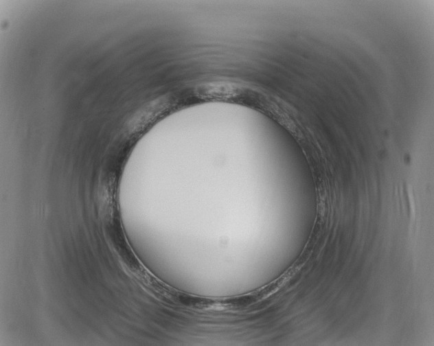 X0000085070460200703051103