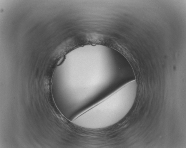 X0000085070466200703051103