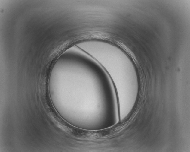 X0000085070493200703051102