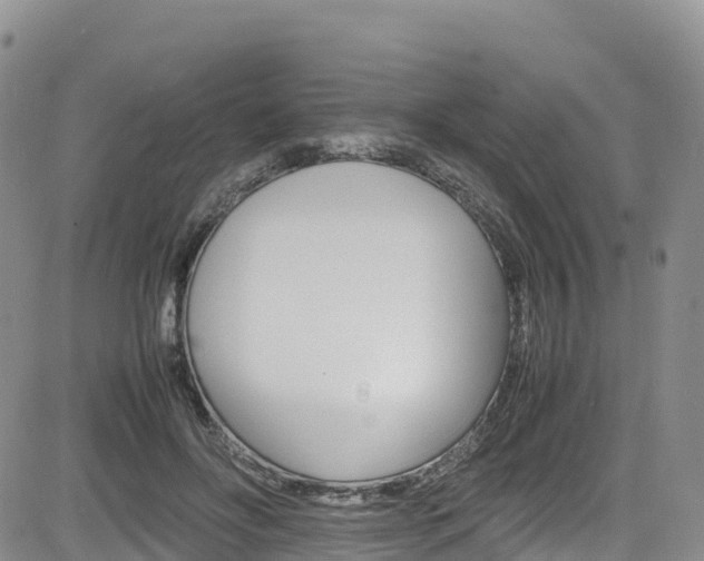 X0000085070502200703051102