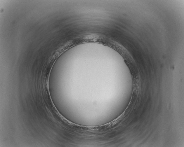 X0000085070504200703051102