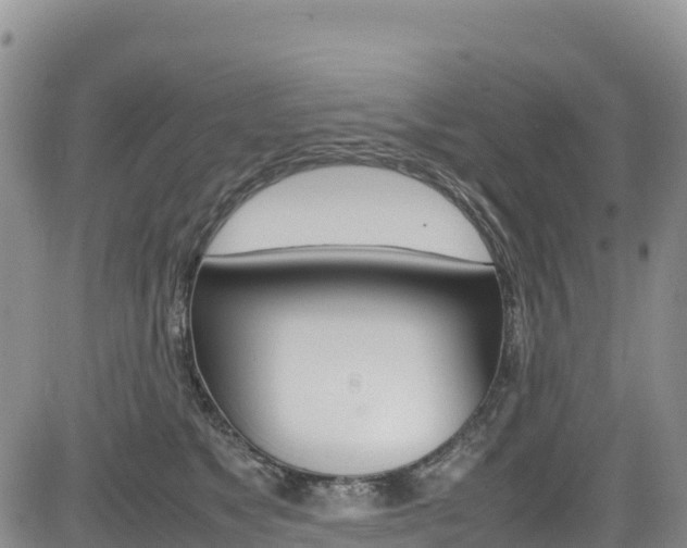 X0000085070517200703051102