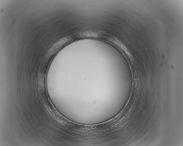 X0000085070537200703051101
