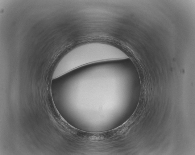 X0000085070546200703051101
