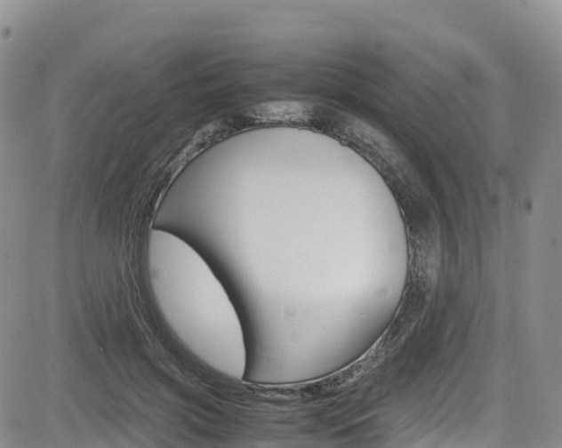 X0000085070549200703051101