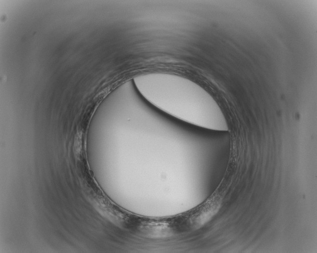 X0000085070554200703051101