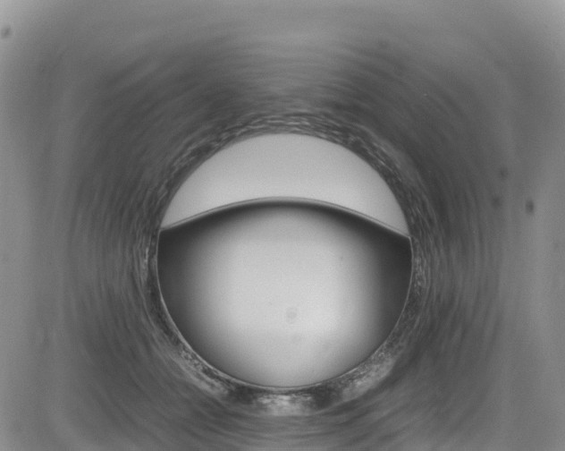 X0000085070558200703051101