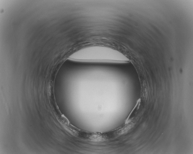 X0000085070562200703051101