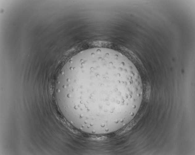 X0000085070569200703051101