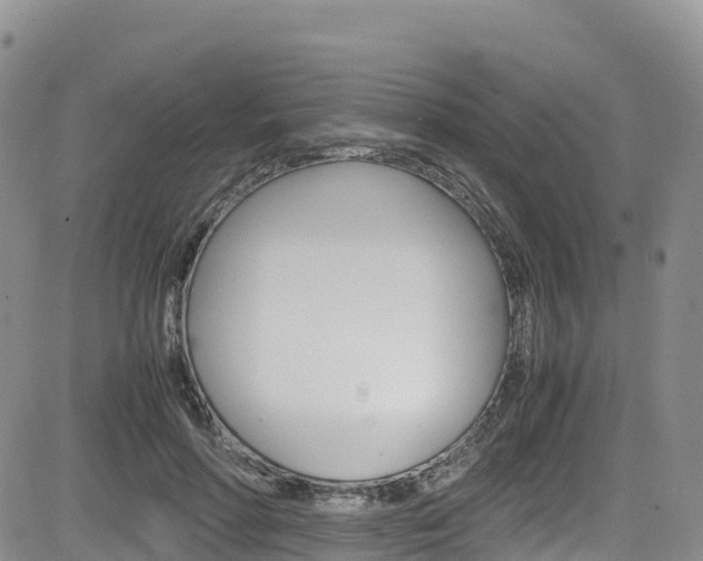 X0000085070598200703051100