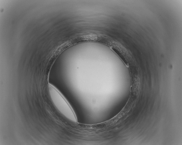 X0000085070600200703051100