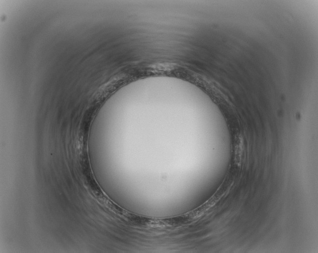 X0000085070608200703051100