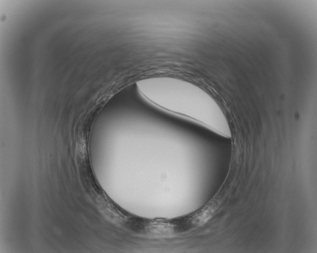 X0000085070617200703051100