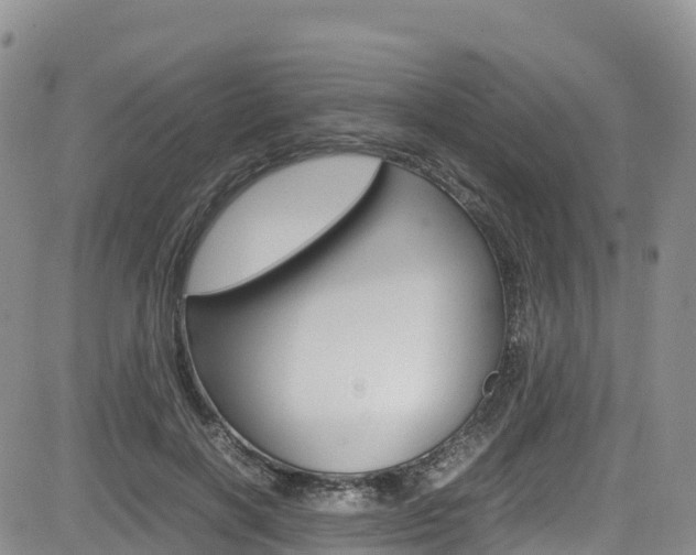 X0000085070646200703051059