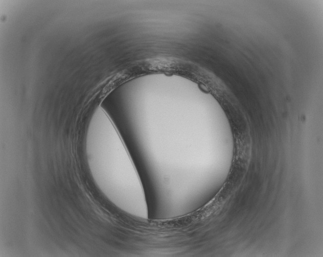 X0000085070648200703051059