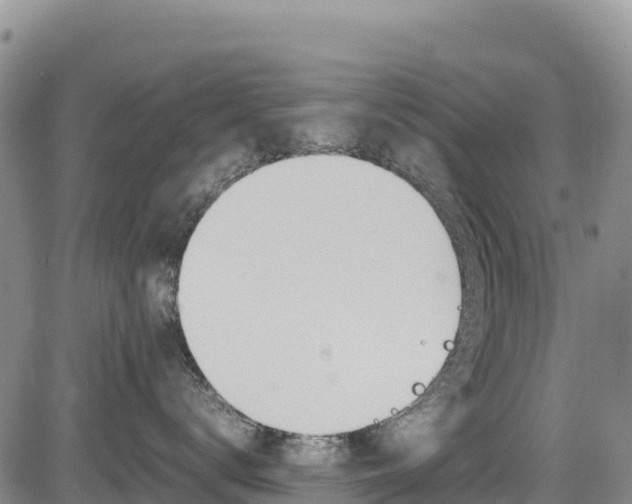 X0000085070672200703051100