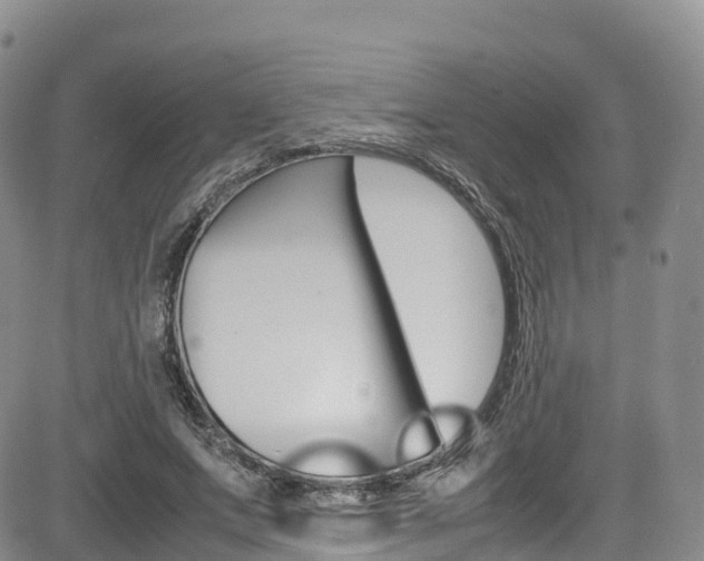 X0000085070687200703051059
