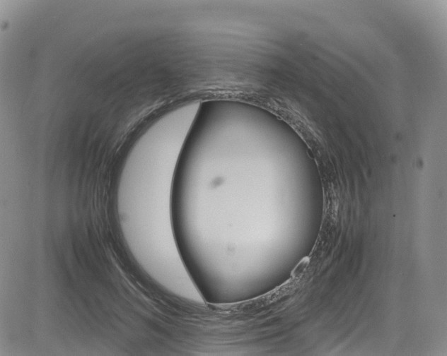 X0000085070692200703051059