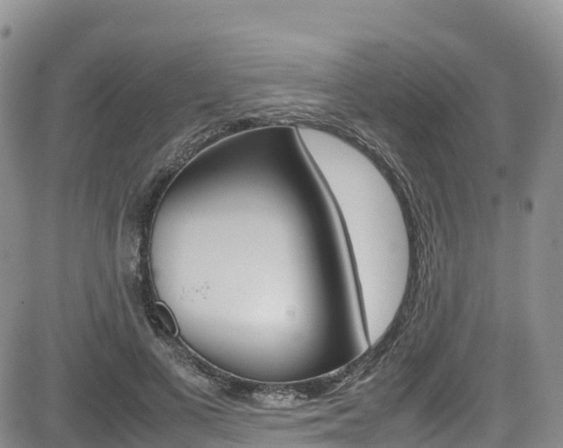 X0000085070693200703051059