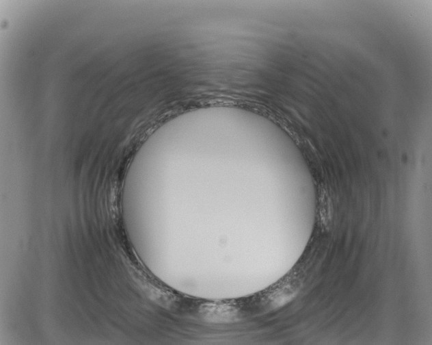 X0000085070714200703051058