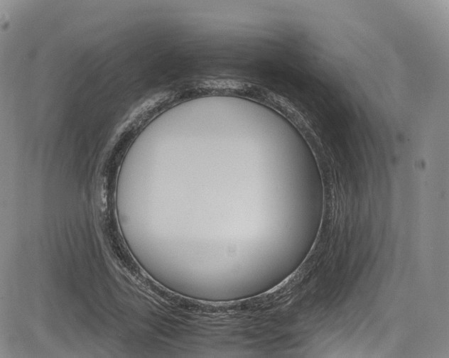 X0000085070731200703051058