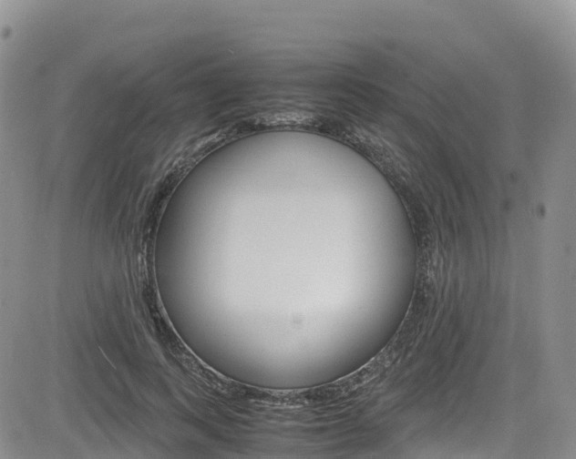 X0000085070743200703051058