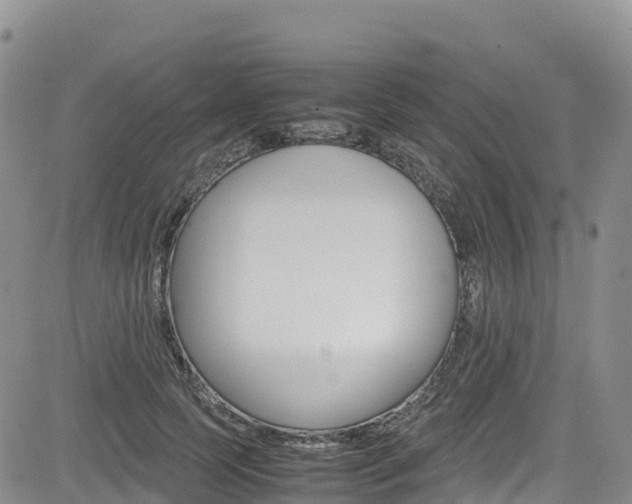 X0000085070745200703051058