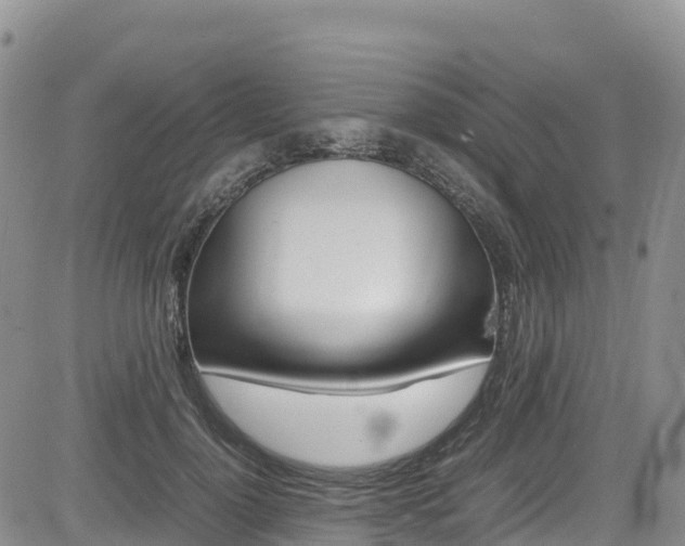 X0000085070748200703051058
