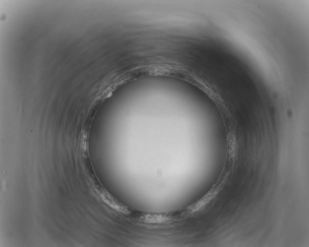 X0000085070766200703051058